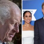 Re Carlo preoccupato