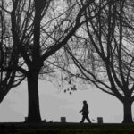 Un uomo cammina sotto alcuni alberi d'inverno