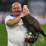 falconiere lazio con aquila olimpia