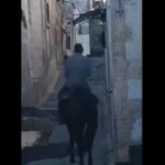 a cavallo nei vicoli di noto