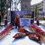 peta protesta consumo pesce