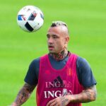 radja nainggolan