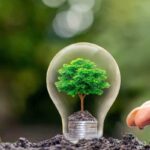 Reddito energetico, così abbatti le spese delle bollette