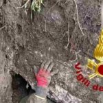 I vigili del fuoco che liberano un cane a Isernia