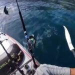 Squalo bianco insegue un uomo su un kayak