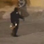 Il video del furto del water d'oro di Cattelan dal Blenheim Palace