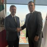 cattaneo enel in messico