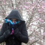 Freddo, freddo e... freddo