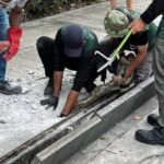 Un pitone soccorso a Singapore