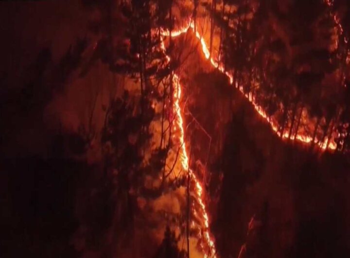 Incendi in Corea del Sud