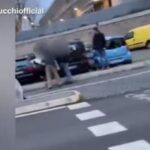 video domani arresto spacciatore