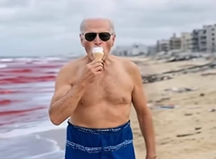 Biden nel video in risposta a quello postato da Trump