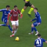 espulsione dele alli