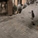 ladri usano tombini per sfondare le vetrine dei negozi