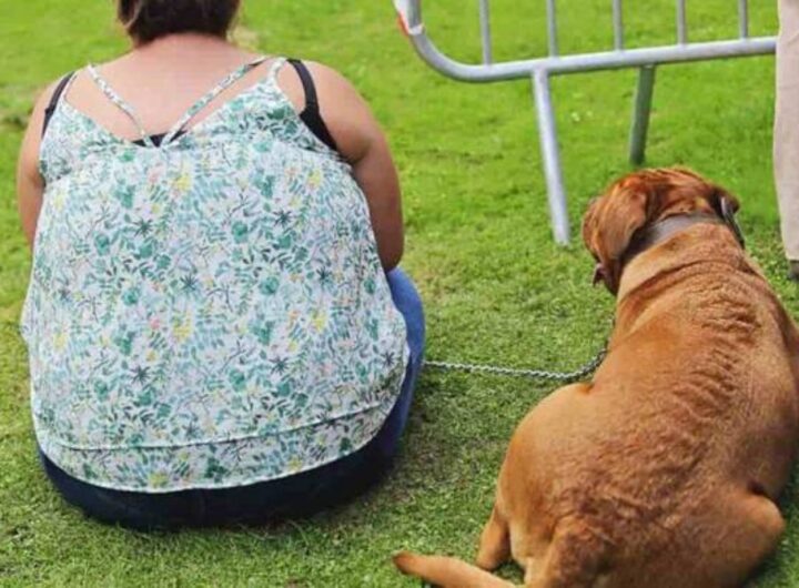 cane con la sua padrona