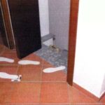 perizia villetta garlasco