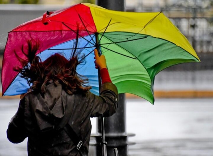 Una donna con l'ombrello