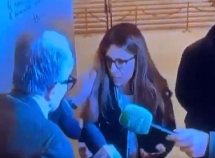 Prodi tira i capelli alla giornalista di Rete 4