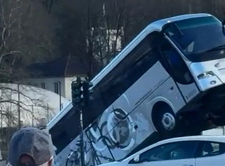 Torino, il video del pullman turistico che precipita nel Po