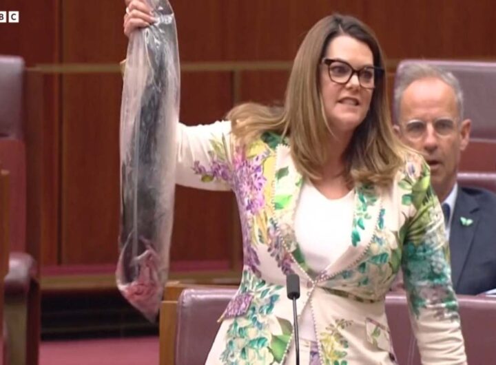 parlamentare Australia protesta contro allevamenti salmone