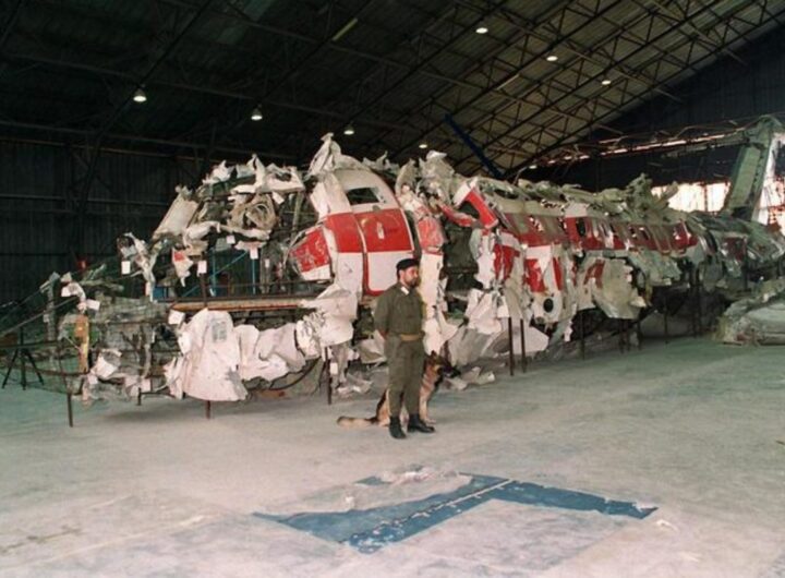 i rottami dell'aereo caduto a ustica