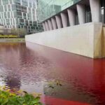 Vernice rossa nella fontana dell'ambasciata americana a Londra