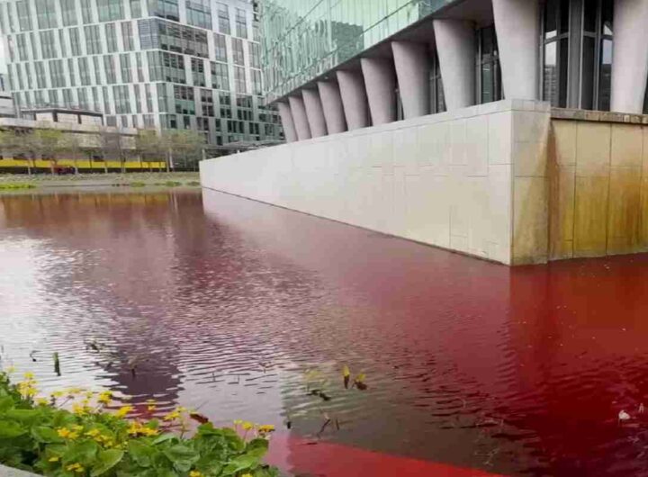 Vernice rossa nella fontana dell'ambasciata americana a Londra