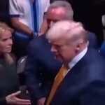 Trump ignora la stretta di mano della moglie di Kennedy Jr.