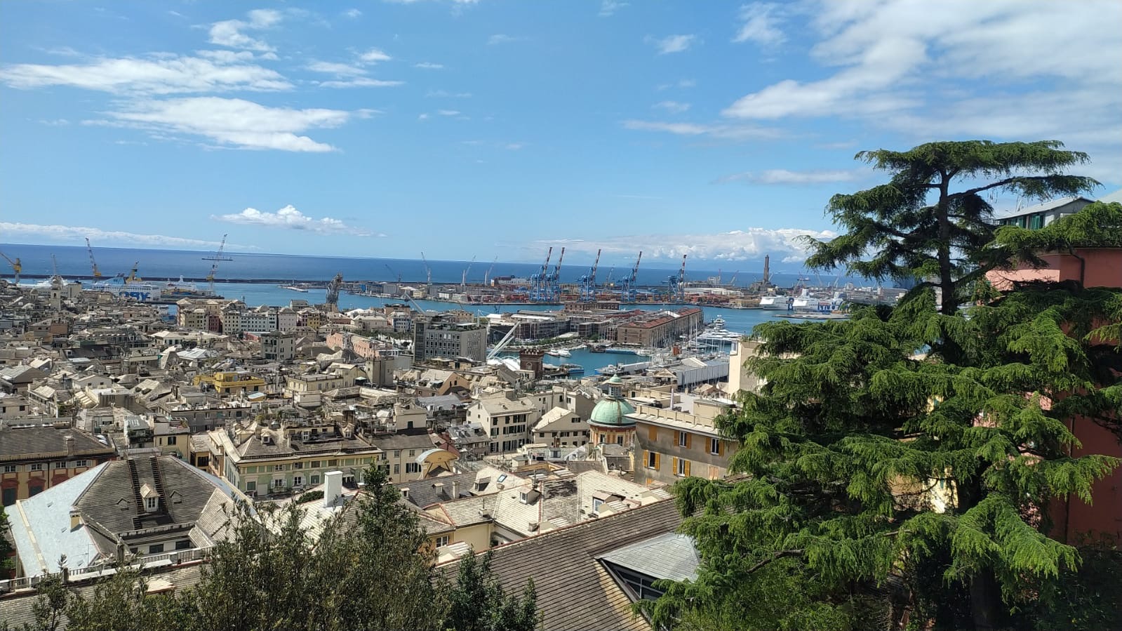 A Genova grandi opere in ritardo, assist per Salis ma la Superba finirà sott’acqua Nella foto Genova da Castelletto