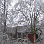Alberi ghiacciati in Ontario