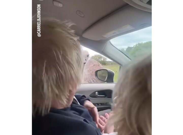 boris johnson struzzo