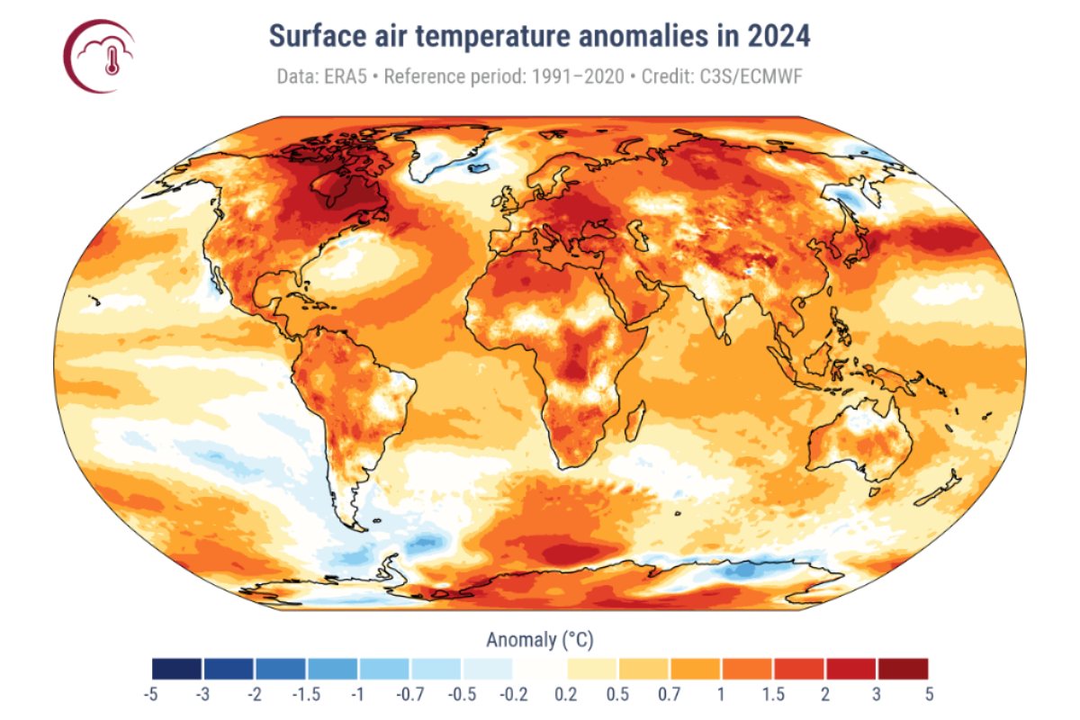 La foto del giorno: il grafico che mostra la temperatura dell’aria sulla Terra nel 2024, l’anno più caldo della storia
