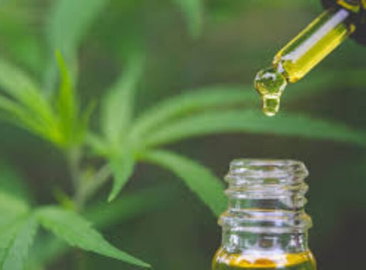 Oli di cannabidinolo