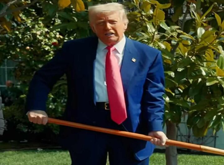 Donald Trump con il badile alla Casa Bianca