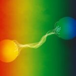 rappresentazione grafica dell'entanglement