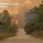 Incendi intorno a Gerusalemme