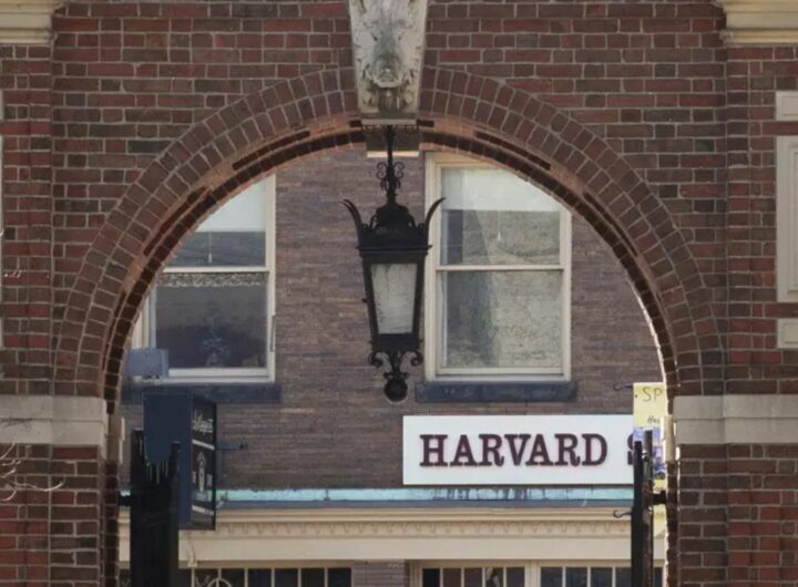 harvard university, massachussetts