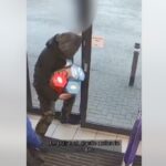 ladro uova di pasqua