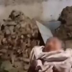 Neonata ritrovata Brasile