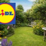 offerte per il giardino di LIdl