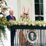 Trump, Melania e l'uomo vestito da coniglio