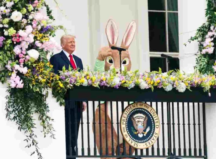 Trump, Melania e l'uomo vestito da coniglio