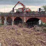 Il video dell'impressionante distesa di legname accumulata a Vercelli a ridosso di un ponte sul fiume Sesia