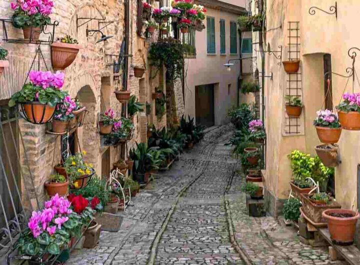 uno scorcio di Spello