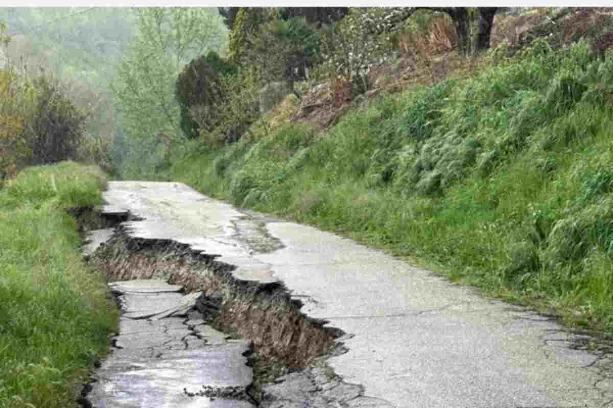 Frana su una strada