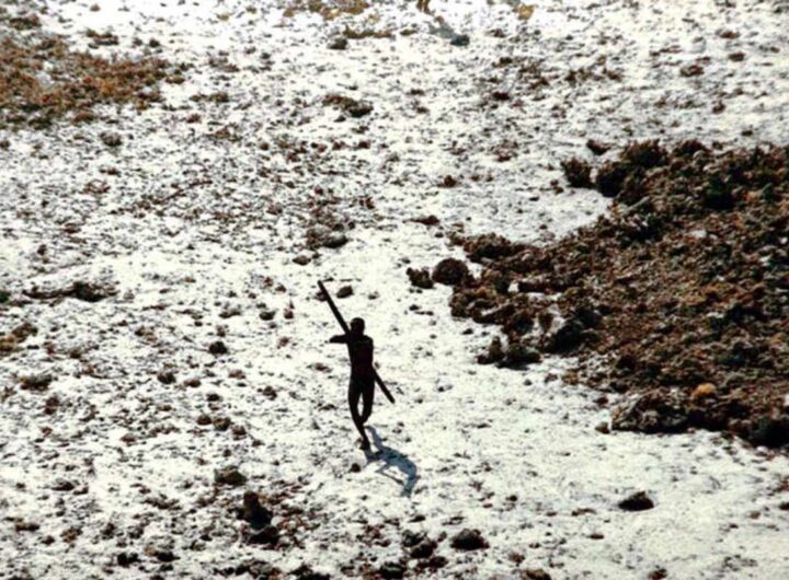 youtuber Coca Cola tribù