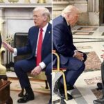 Trump e Zelensky nell'incontro a Washington e in quello al Vaticano
