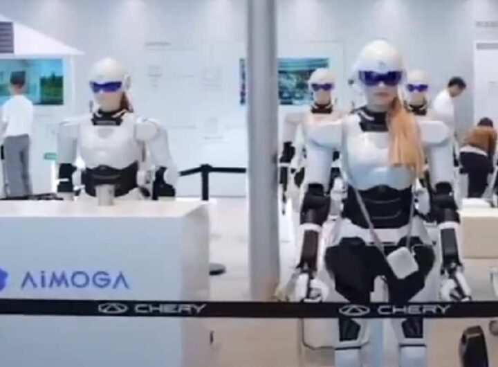 Attenzione, i robot sono fra noi, lavorano per noi e con noi, eccoli in albergo a Treviso