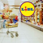 Elettrodomestico per la tua estate da Lidl a prezzo da urlo