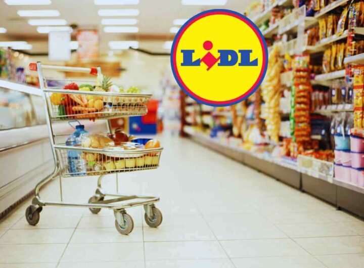 Elettrodomestico per la tua estate da Lidl a prezzo da urlo